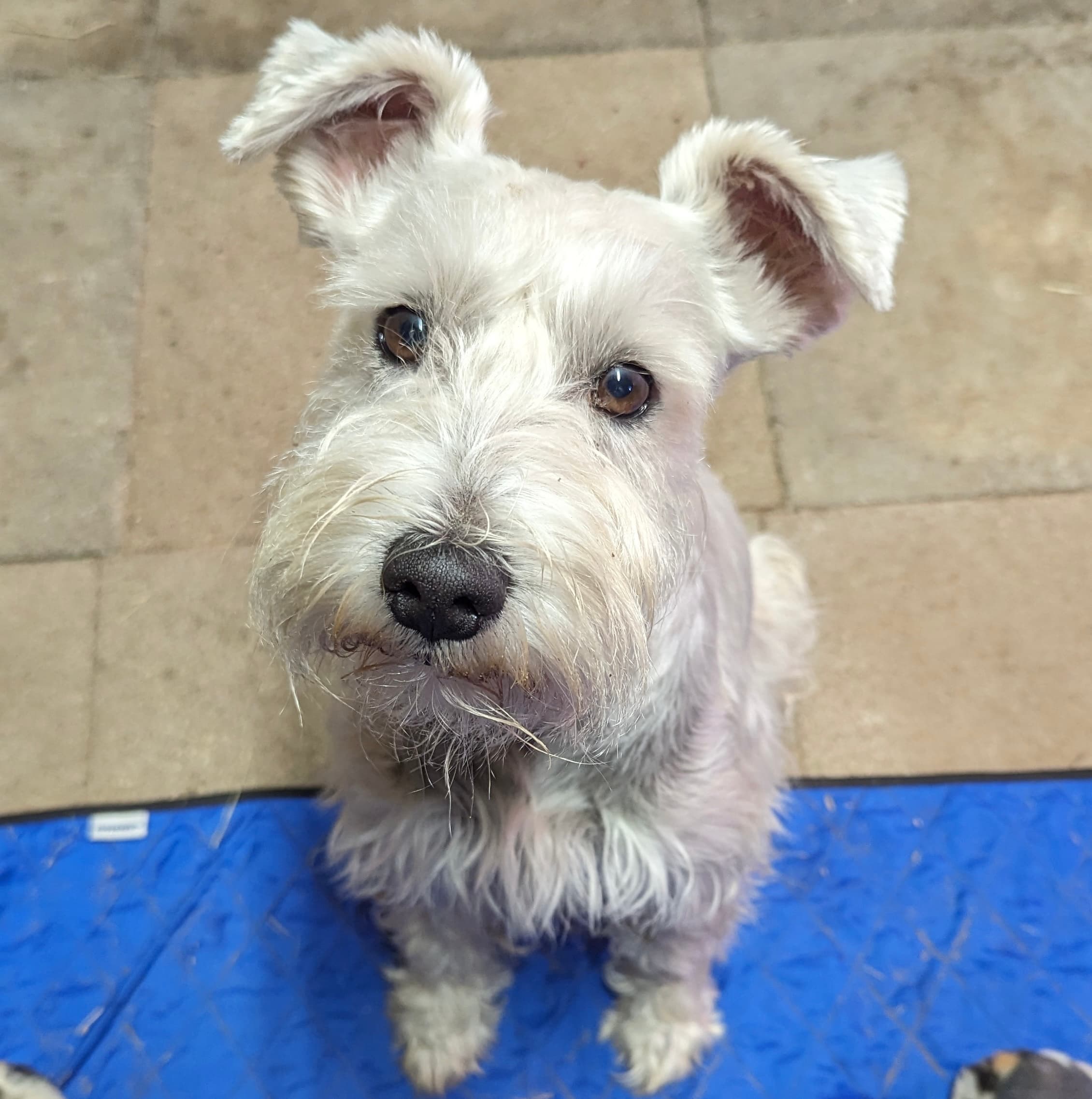 Pxl 20231025 175304865 Original