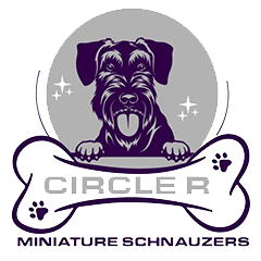 Logo Maniature